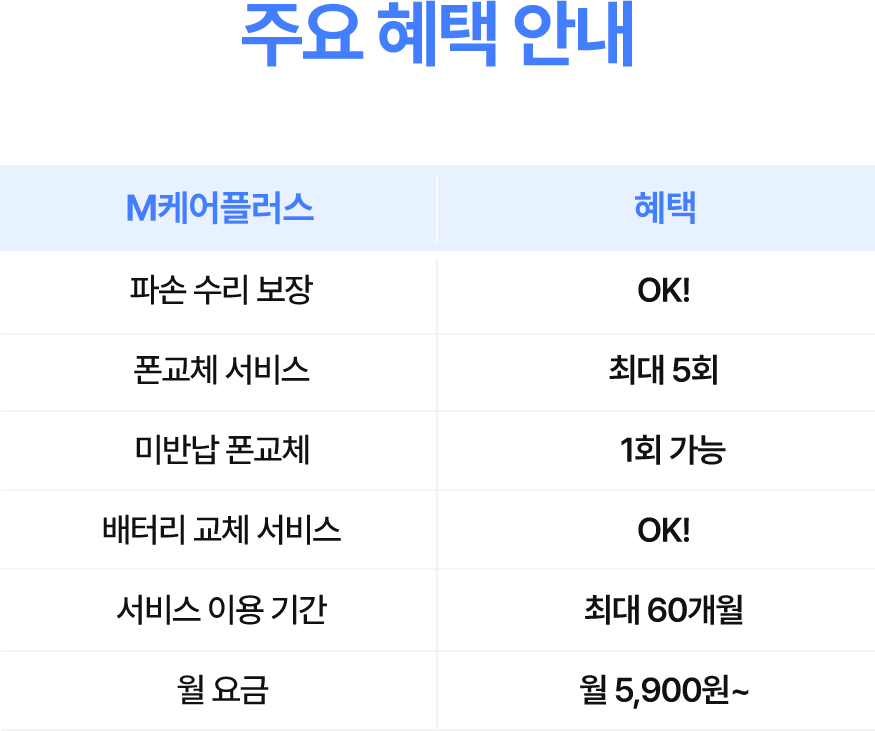 주요 혜택 안내 표